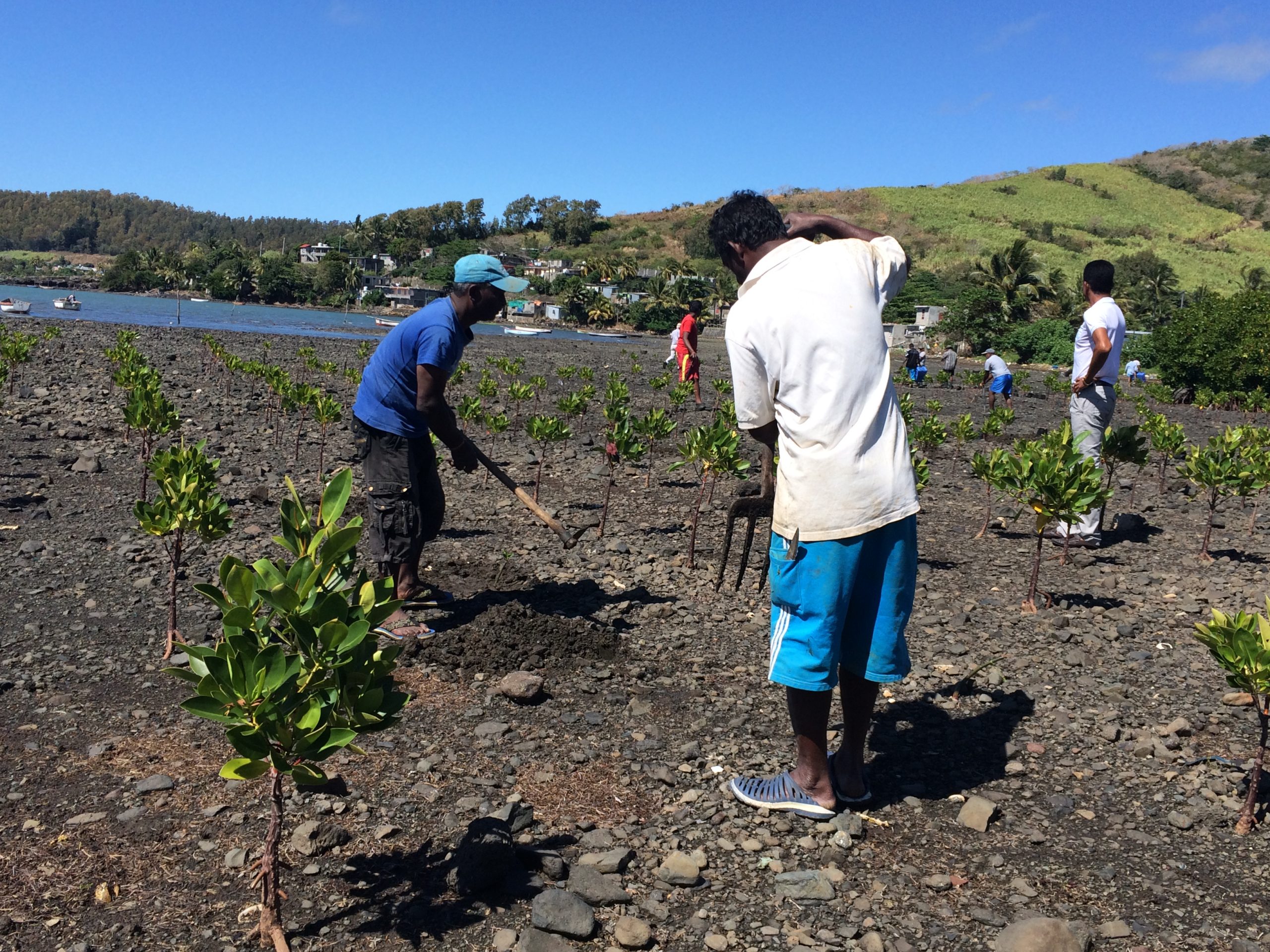 AdaptationFundMauritius-IMG_2710.JPG-M5