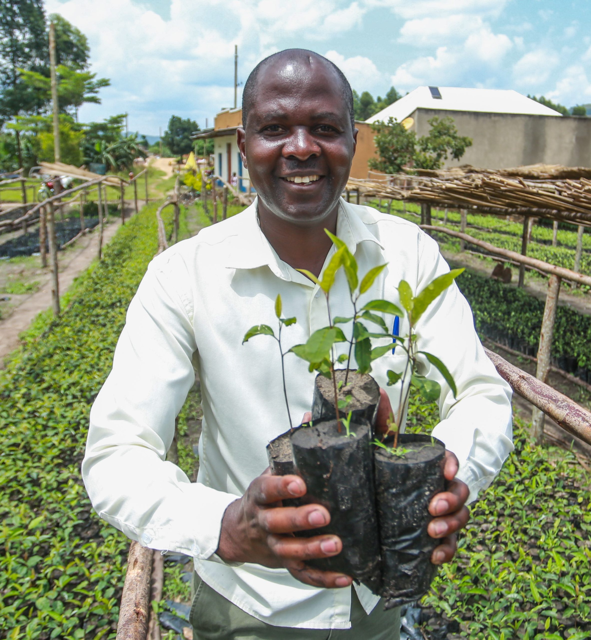 Man in Tree nursery in Uganda © WWF Tanzania